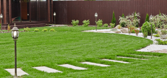 Проектирование газона на участке