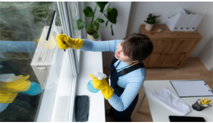 Мойка двустворчатых окон